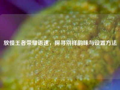 放慢王者荣耀语速，探寻别样韵味与设置方法