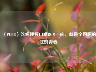 〈PUBG〉吃鸡视频口哨BGM一响，就是全网吧的吃鸡青春