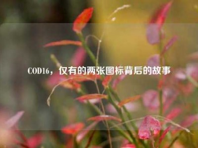 COD16，仅有的两张图标背后的故事