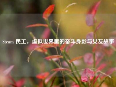 Steam 民工，虚拟世界里的奋斗身影与女友故事