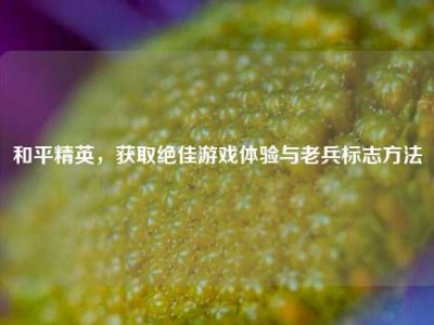和平精英，获取绝佳游戏体验与老兵标志方法