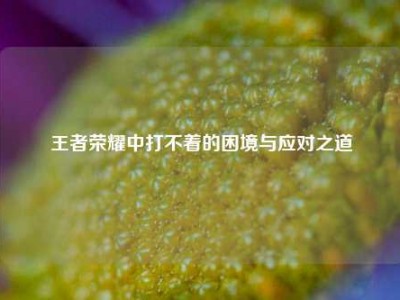 王者荣耀中打不着的困境与应对之道