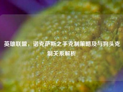 英雄联盟，诺克萨斯之手克制策略及与狗头克制关系解析