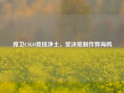 捍卫CSGO竞技净土，坚决抵制作弊海鸥