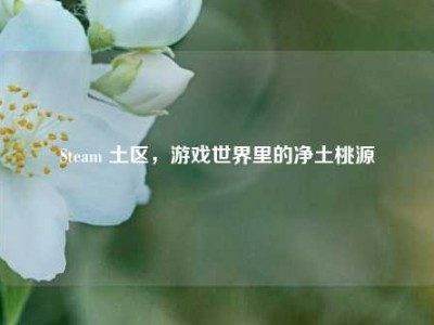Steam 土区，游戏世界里的净土桃源