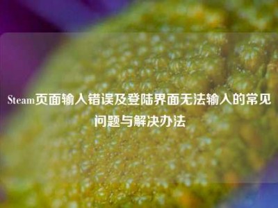 Steam页面输入错误及登陆界面无法输入的常见问题与解决办法