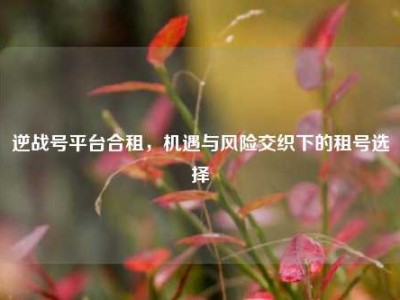 逆战号平台合租，机遇与风险交织下的租号选择
