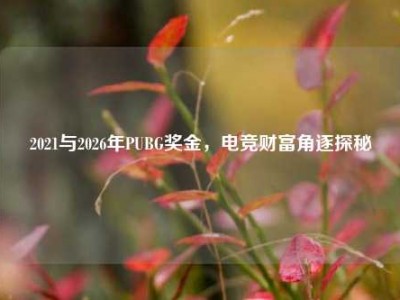 2021与2026年PUBG奖金，电竞财富角逐探秘