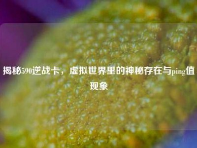 揭秘590逆战卡，虚拟世界里的神秘存在与ping值现象