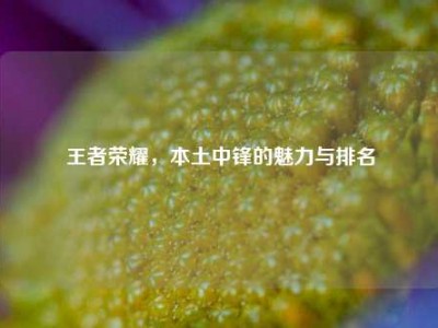 王者荣耀，本土中锋的魅力与排名