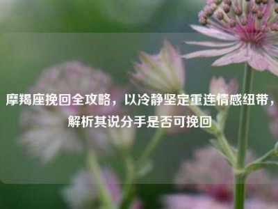 摩羯座挽回全攻略，以冷静坚定重连情感纽带，解析其说分手是否可挽回