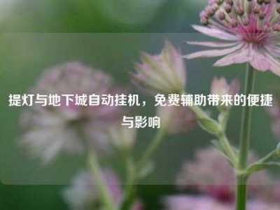 提灯与地下城自动挂机，免费辅助带来的便捷与影响