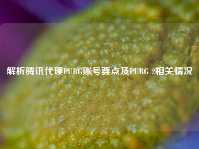 解析腾讯代理PUBG账号要点及PUBG 2相关情况
