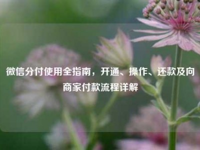 微信分付使用全指南，开通、操作、还款及向商家付款流程详解