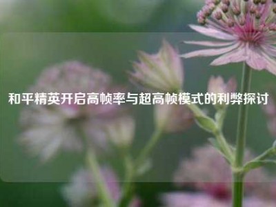 和平精英开启高帧率与超高帧模式的利弊探讨