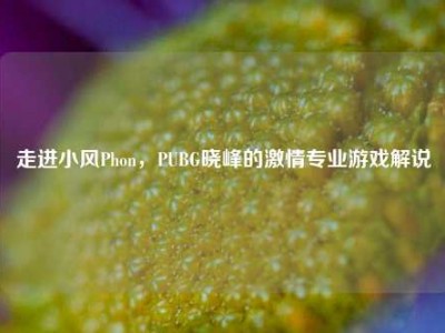 走进小风Phon，PUBG晓峰的激情专业游戏解说