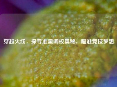 穿越火线，探寻准星调校奥秘，瞄准竞技梦想