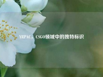 YRPAC，CSGO领域中的独特标识