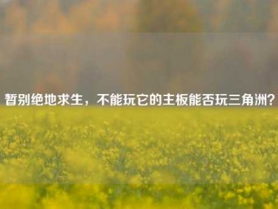 暂别绝地求生，不能玩它的主板能否玩三角洲？