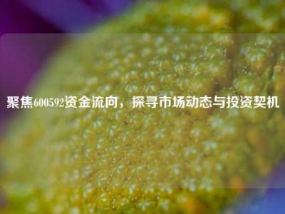 聚焦600592资金流向，探寻市场动态与投资契机