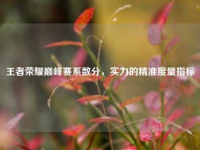 王者荣耀巅峰赛系数分，实力的精准度量指标