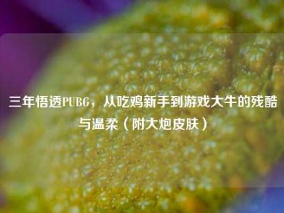 三年悟透PUBG，从吃鸡新手到游戏大牛的残酷与温柔（附大炮皮肤）