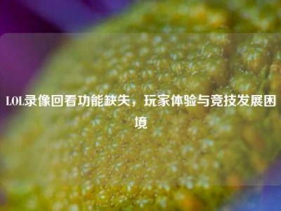LOL录像回看功能缺失，玩家体验与竞技发展困境