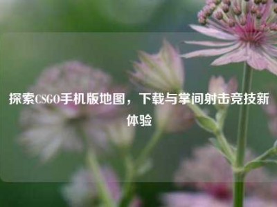 探索CSGO手机版地图，下载与掌间射击竞技新体验