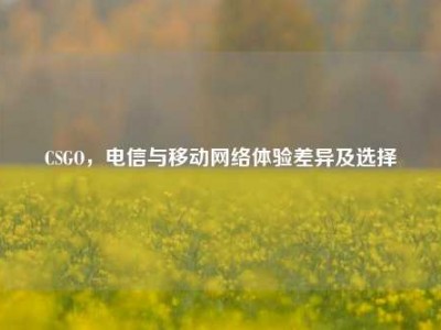 CSGO，电信与移动网络体验差异及选择