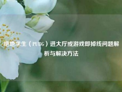 绝地求生（PUBG）进大厅或游戏即掉线问题解析与解决方法
