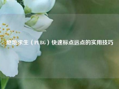 绝地求生（PUBG）快速标点远点的实用技巧