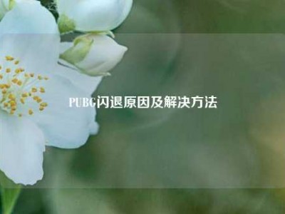 PUBG闪退原因及解决方法