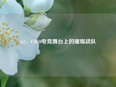 G2，CSGO电竞舞台上的璀璨战队
