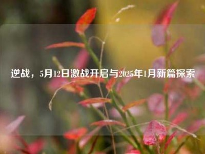 逆战，5月12日激战开启与2025年1月新篇探索