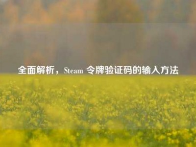 全面解析，Steam 令牌验证码的输入方法