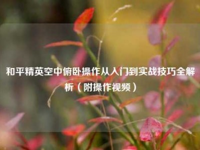 和平精英空中俯卧操作从入门到实战技巧全解析（附操作视频）