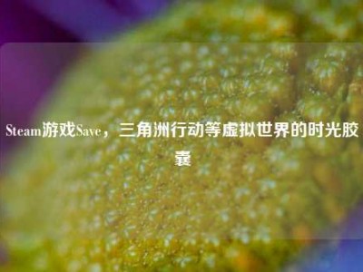 Steam游戏Save，三角洲行动等虚拟世界的时光胶囊