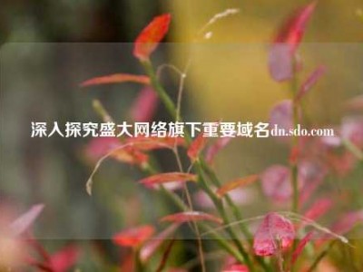 深入探究盛大网络旗下重要域名dn.sdo.com
