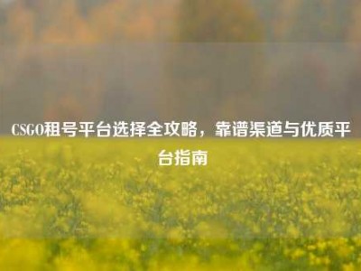 CSGO租号平台选择全攻略，靠谱渠道与优质平台指南