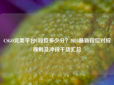CSGO完美平台C段位多少分？2024最新段位对应规则及冲段干货汇总