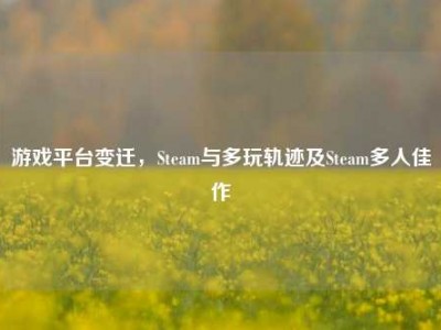 游戏平台变迁，Steam与多玩轨迹及Steam多人佳作