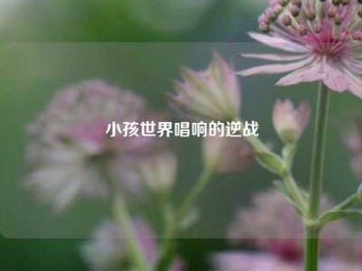 小孩世界唱响的逆战