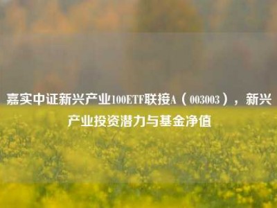 嘉实中证新兴产业100ETF联接A（003003），新兴产业投资潜力与基金净值
