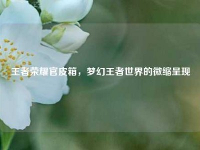 王者荣耀官皮箱，梦幻王者世界的微缩呈现