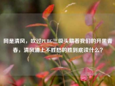 同是清风，吹过PUBG三级头藏着我们的开黑青春，清风浦上不胜愁的胜到底读什么？