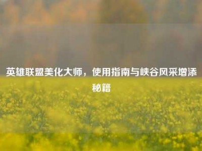 英雄联盟美化大师，使用指南与峡谷风采增添秘籍
