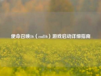 使命召唤16（cod16）游戏启动详细指南