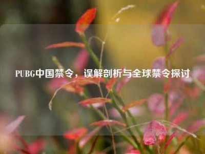 PUBG中国禁令，误解剖析与全球禁令探讨