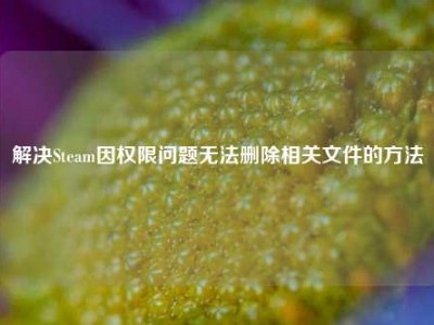 解决Steam因权限问题无法删除相关文件的方法