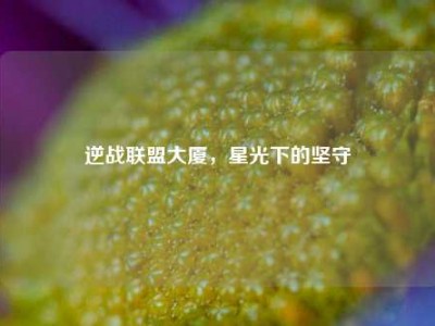 逆战联盟大厦，星光下的坚守